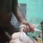 Man records himself fucking a chicken before eating it
